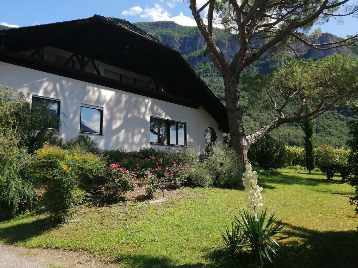 Villa Pinie Apt 1 Терлано Экстерьер фото
