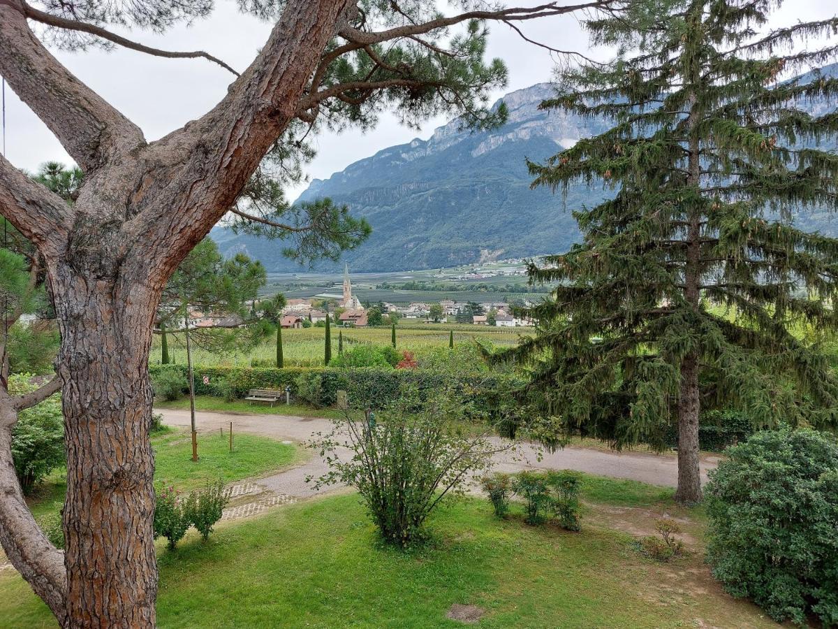 Villa Pinie Apt 1 Терлано Экстерьер фото