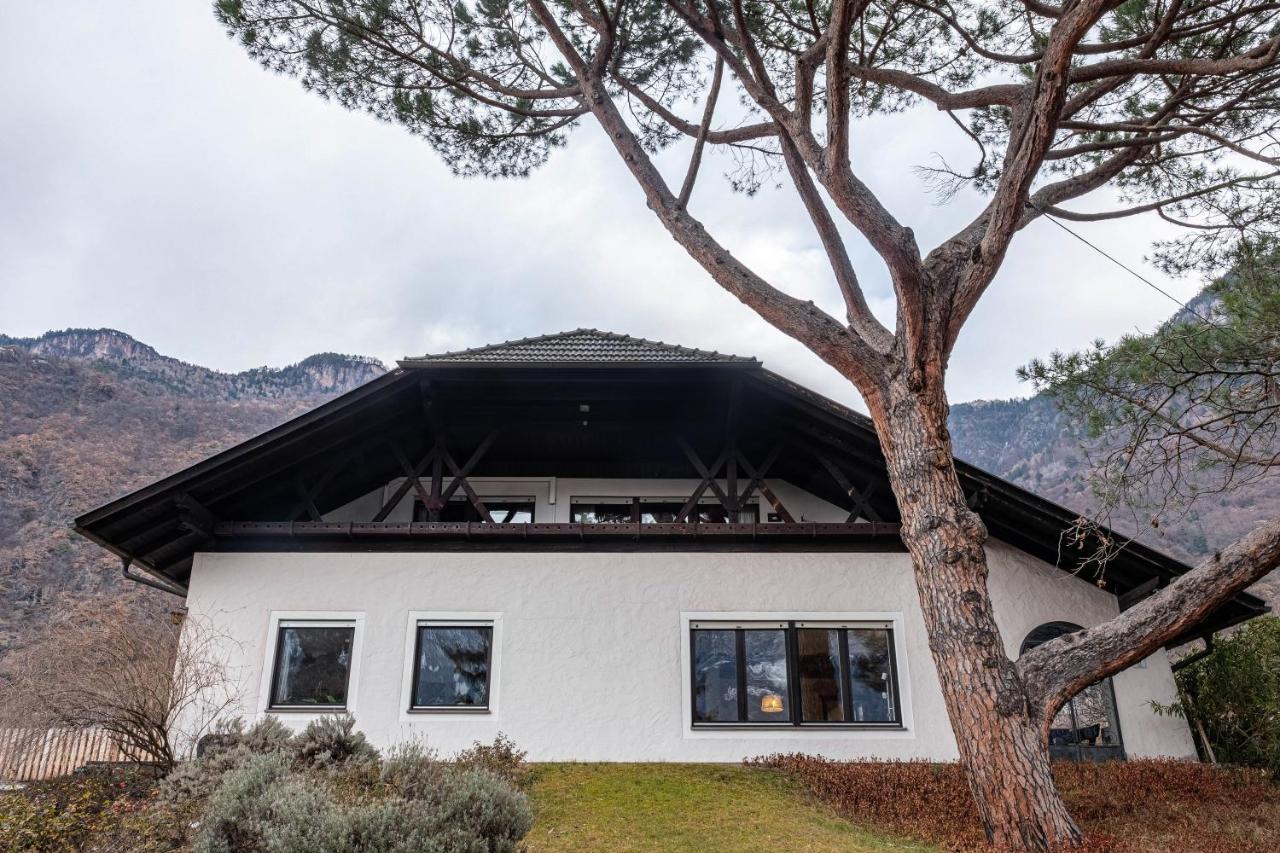 Villa Pinie Apt 1 Терлано Экстерьер фото