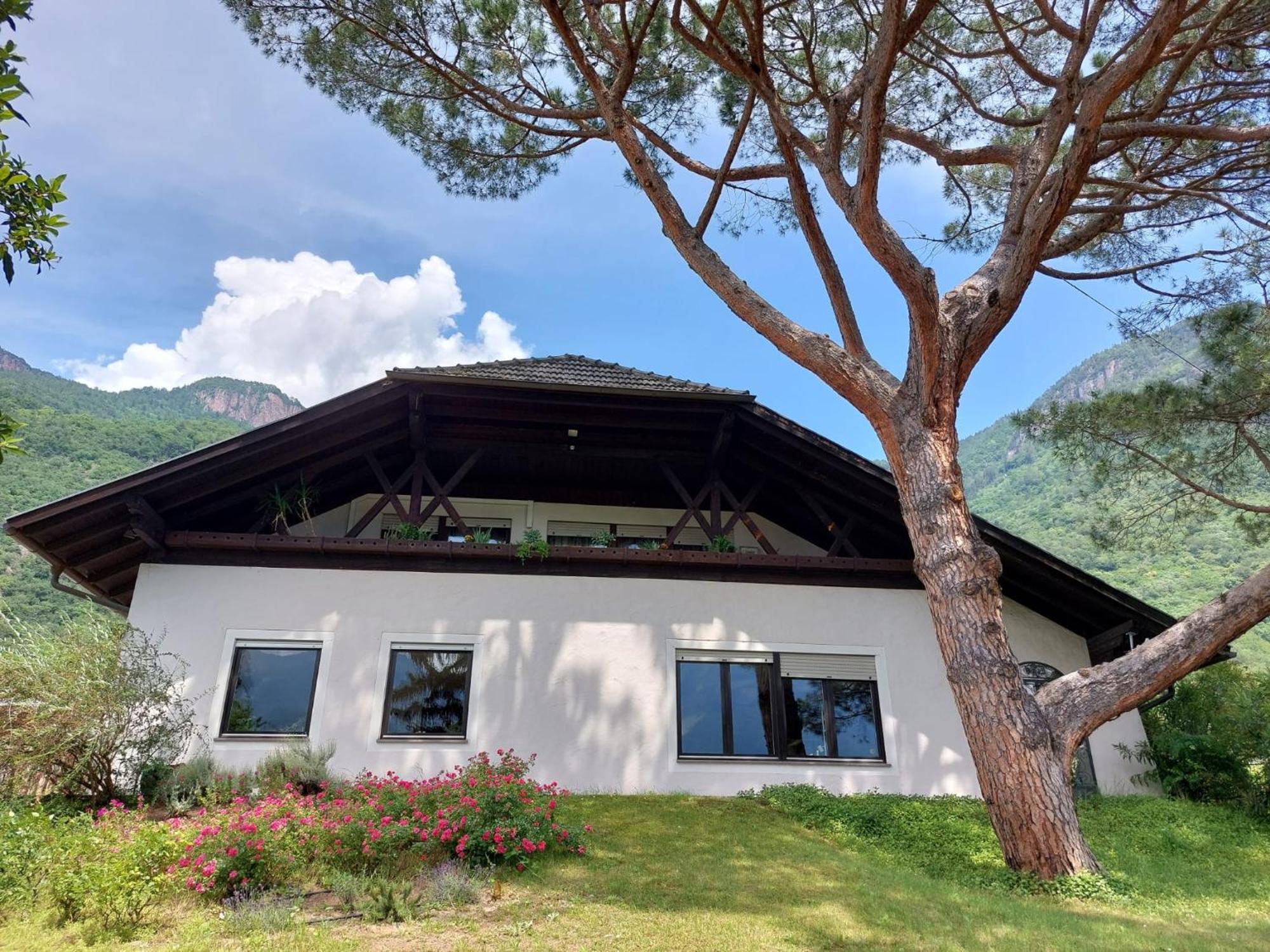 Villa Pinie Apt 1 Терлано Экстерьер фото